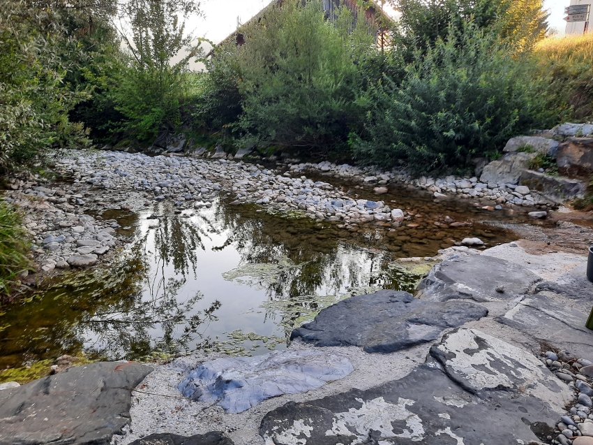 Niedrigwasser im Rickenbach bei Wattwil im August 2022. Quelle: Bänziger Kocher Ingenieure AG